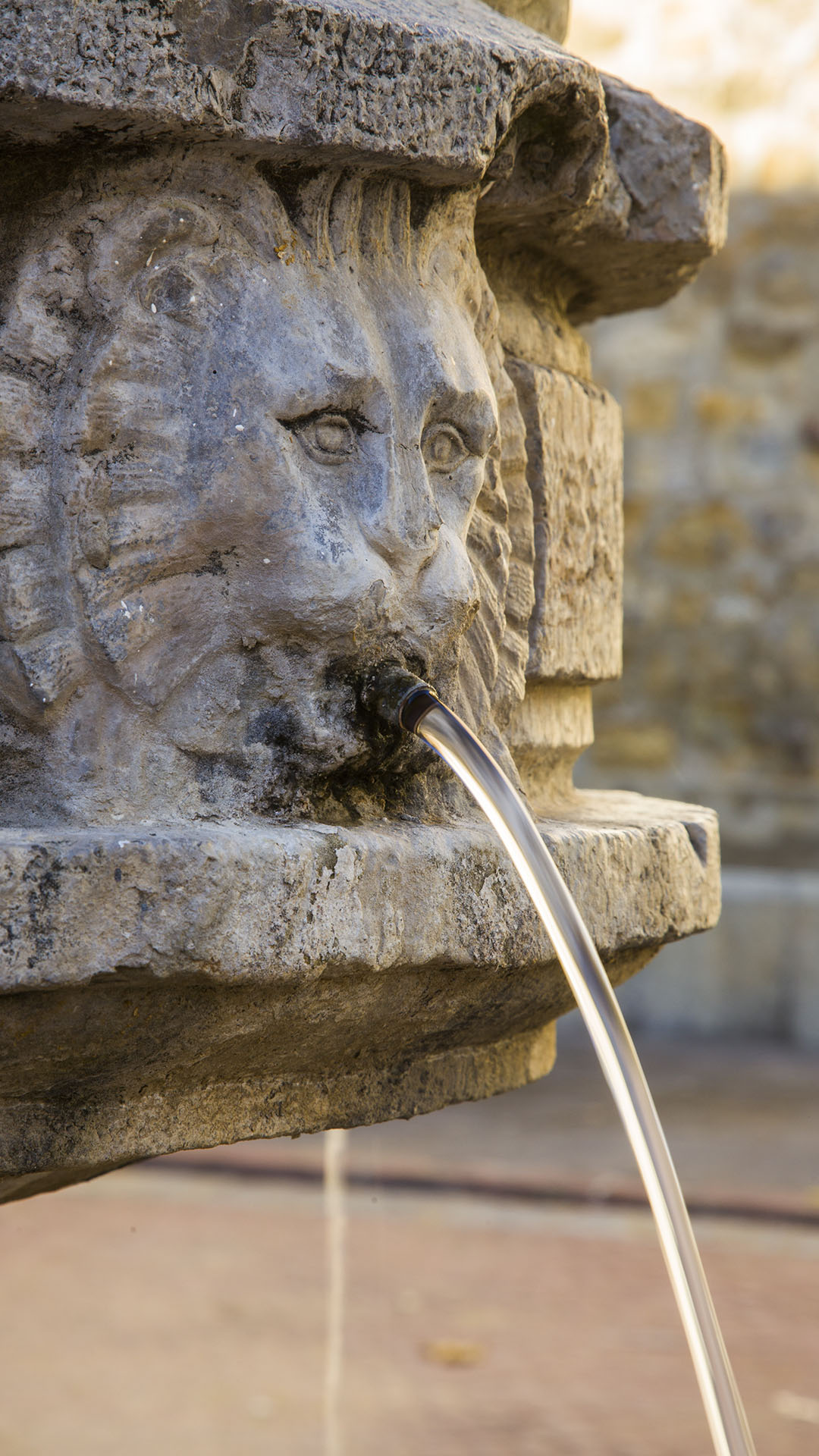 Benafer