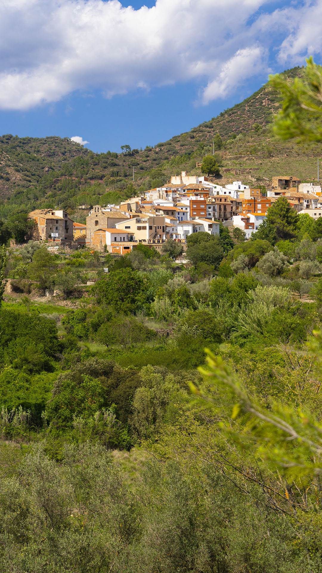 Higueras