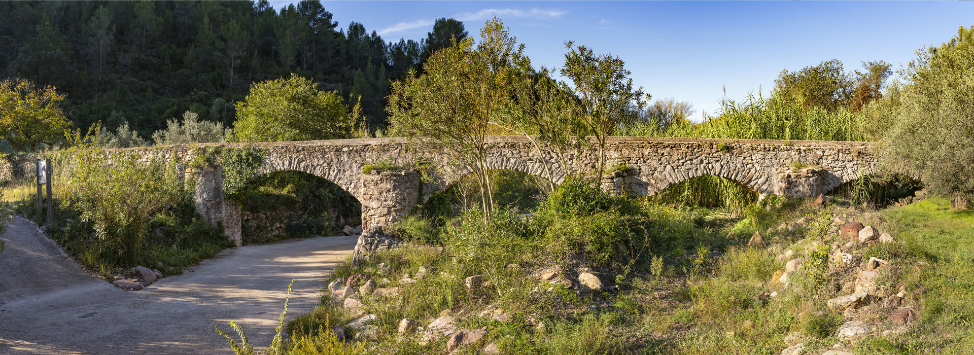 Acueducto de la Alfándiga