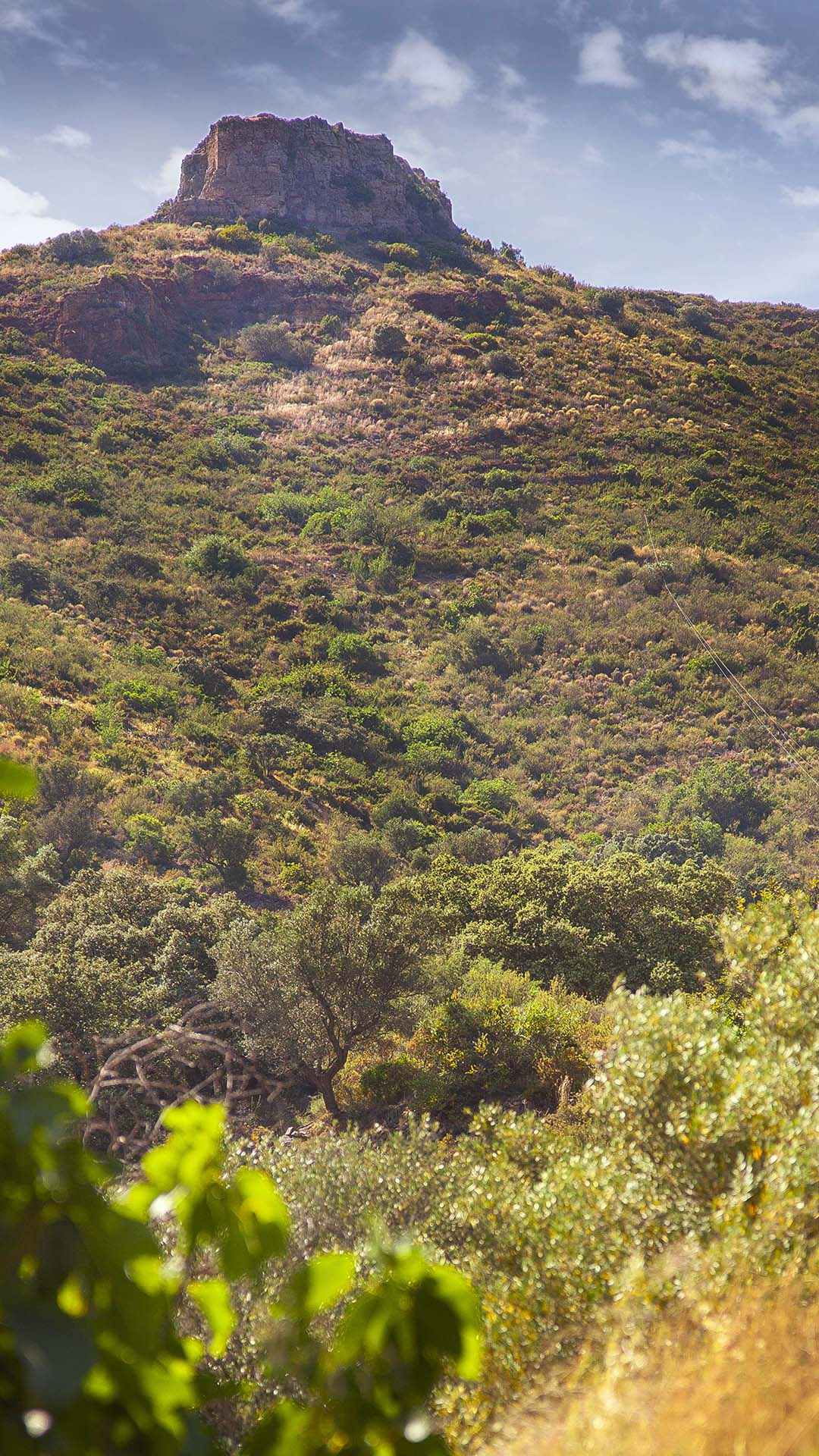 Castillo de la Rodana (BIC)