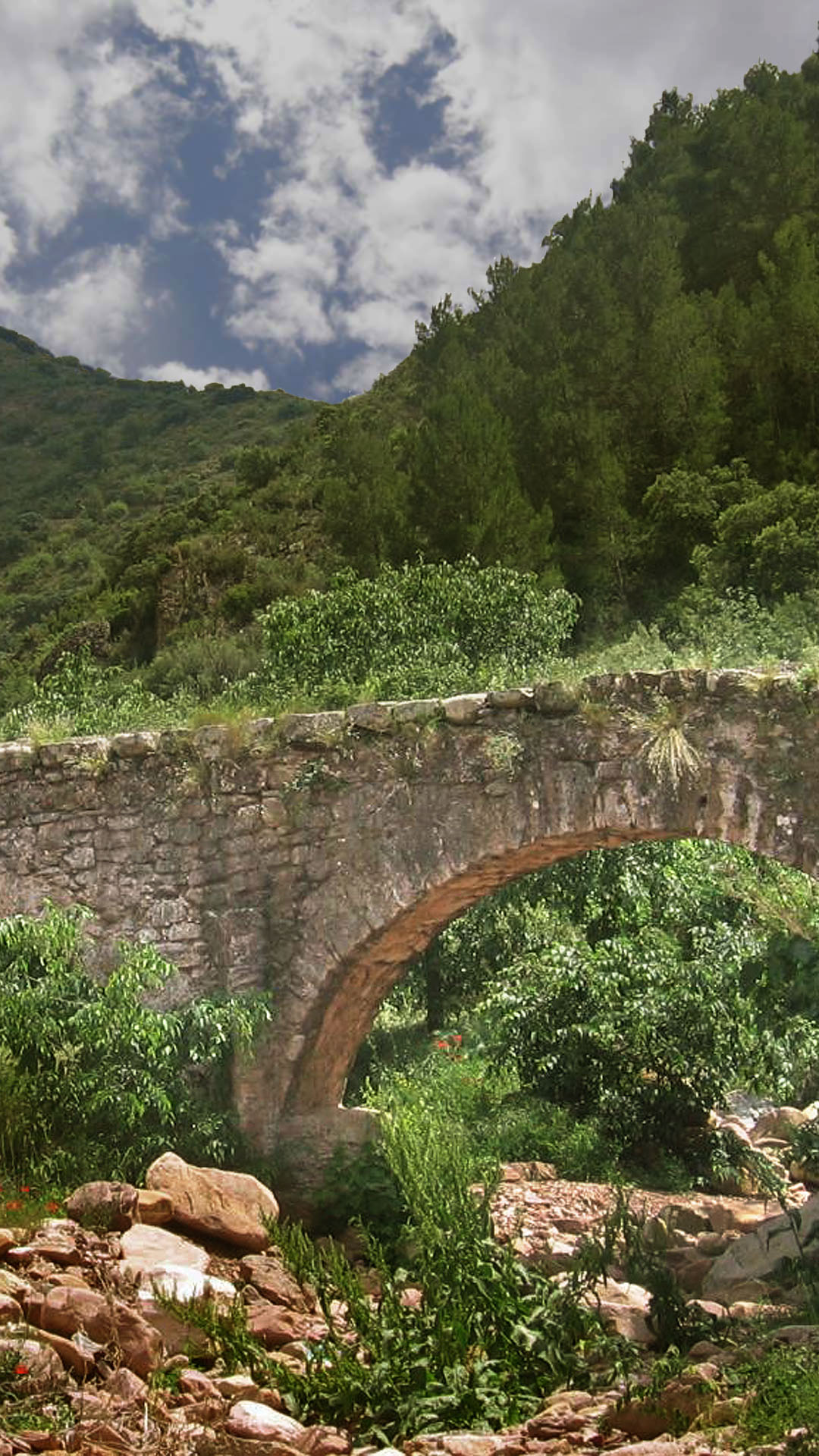 Acueducto de Huerta Nueva