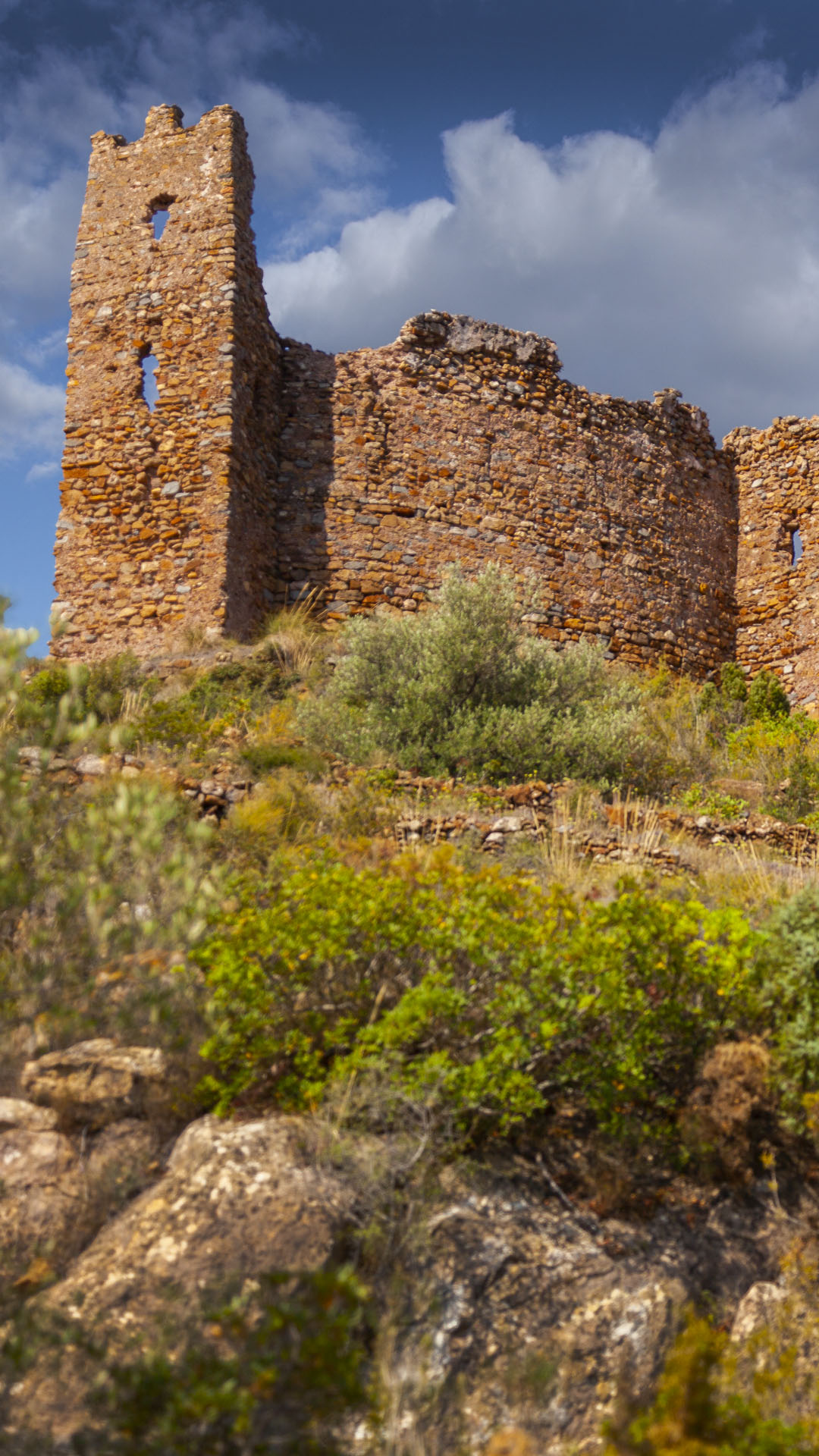 El Castillo  (s. X-XII) (BIC)