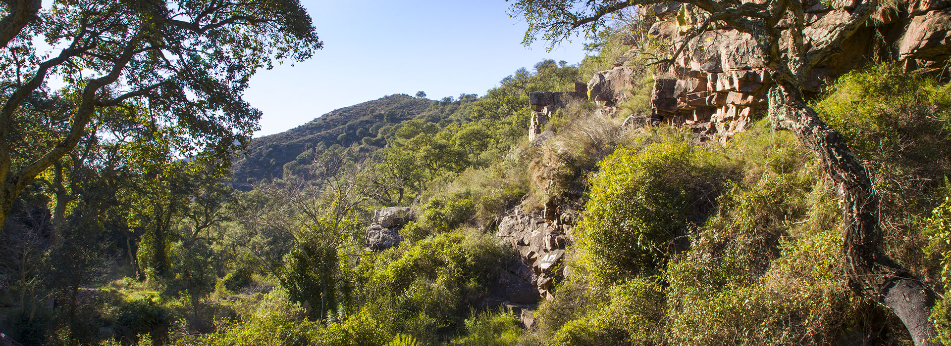 Paraje de Mosquera