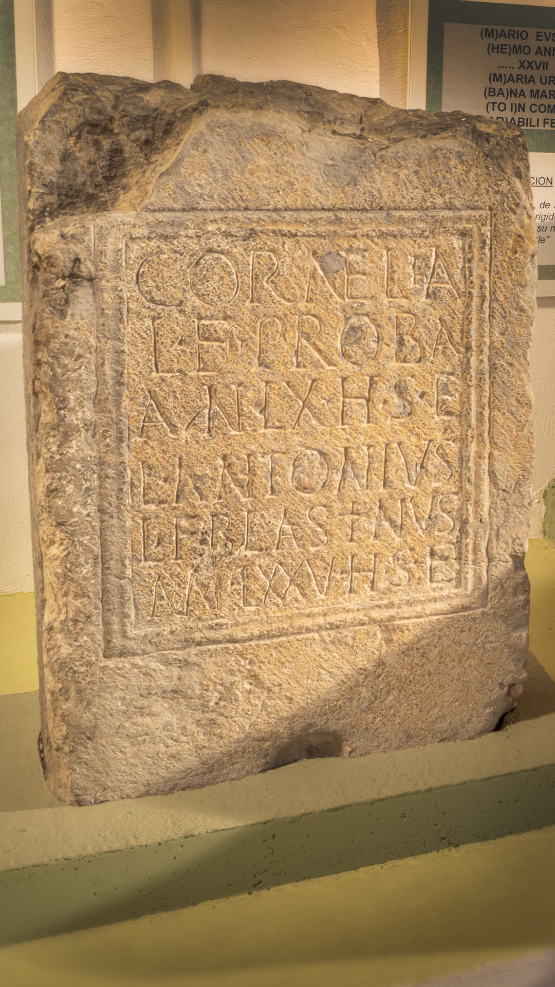 Museo Municipal de Etnografía y Arqueología