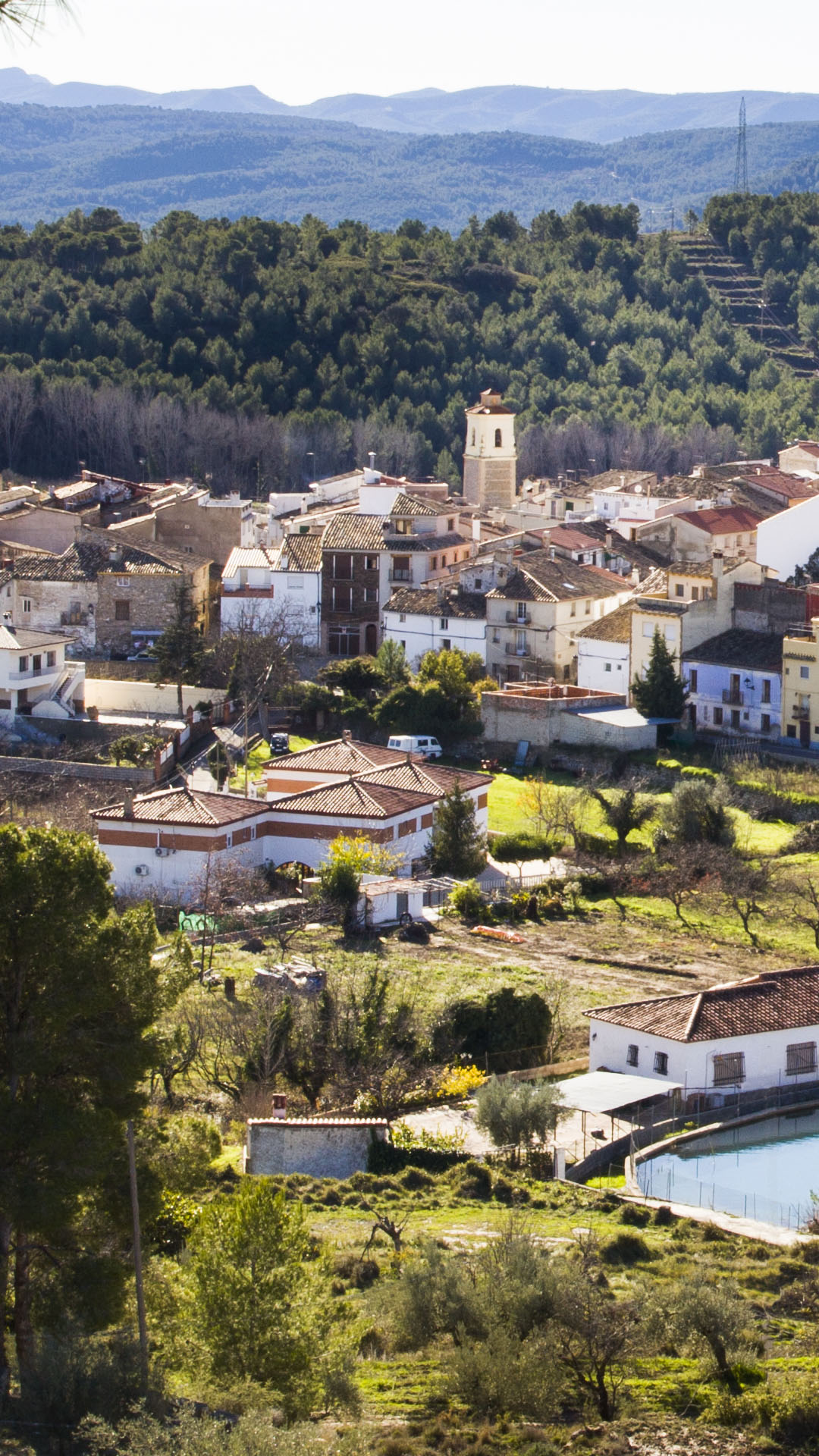 Ermita de San Roque