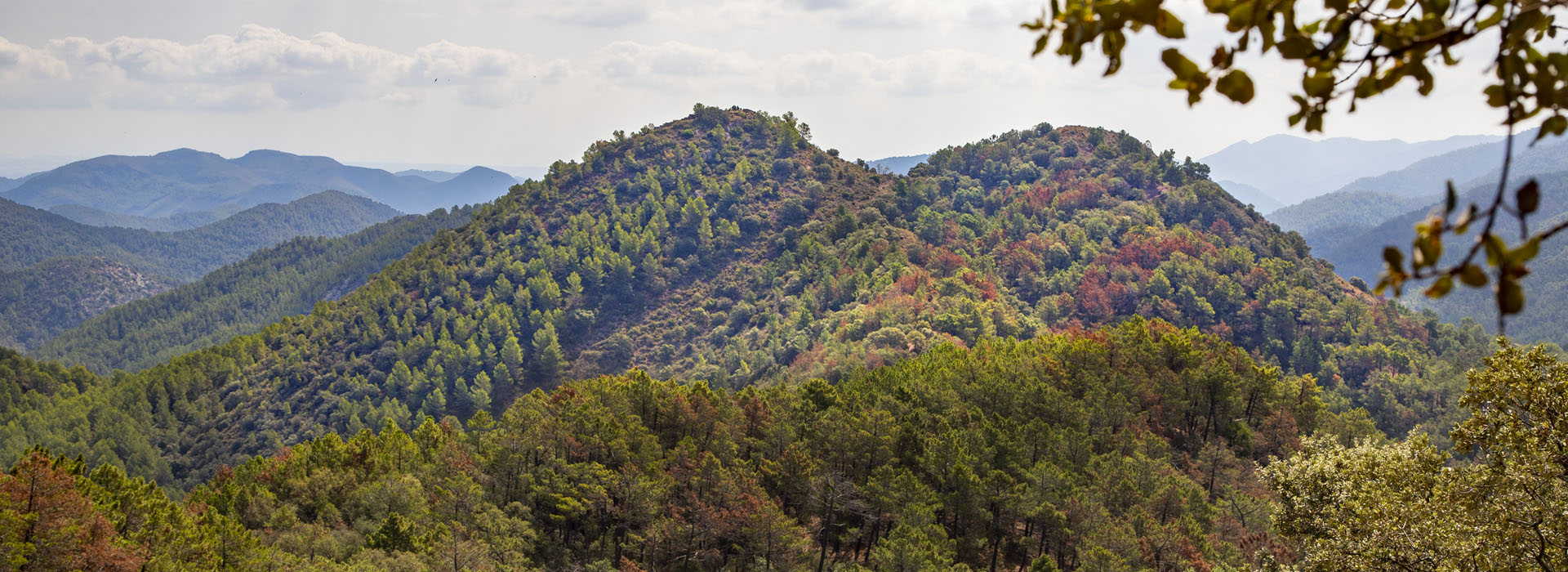 Parque Natural de la Sierra de Espadán