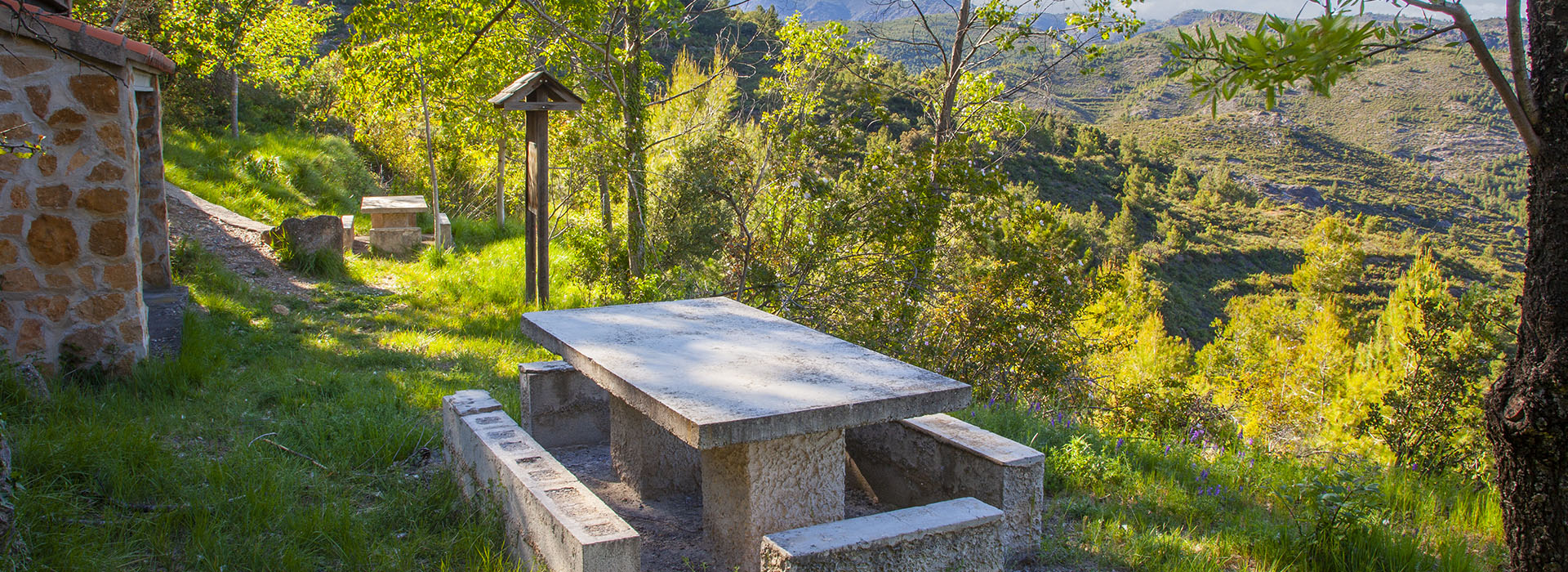 Fuente Cuenca