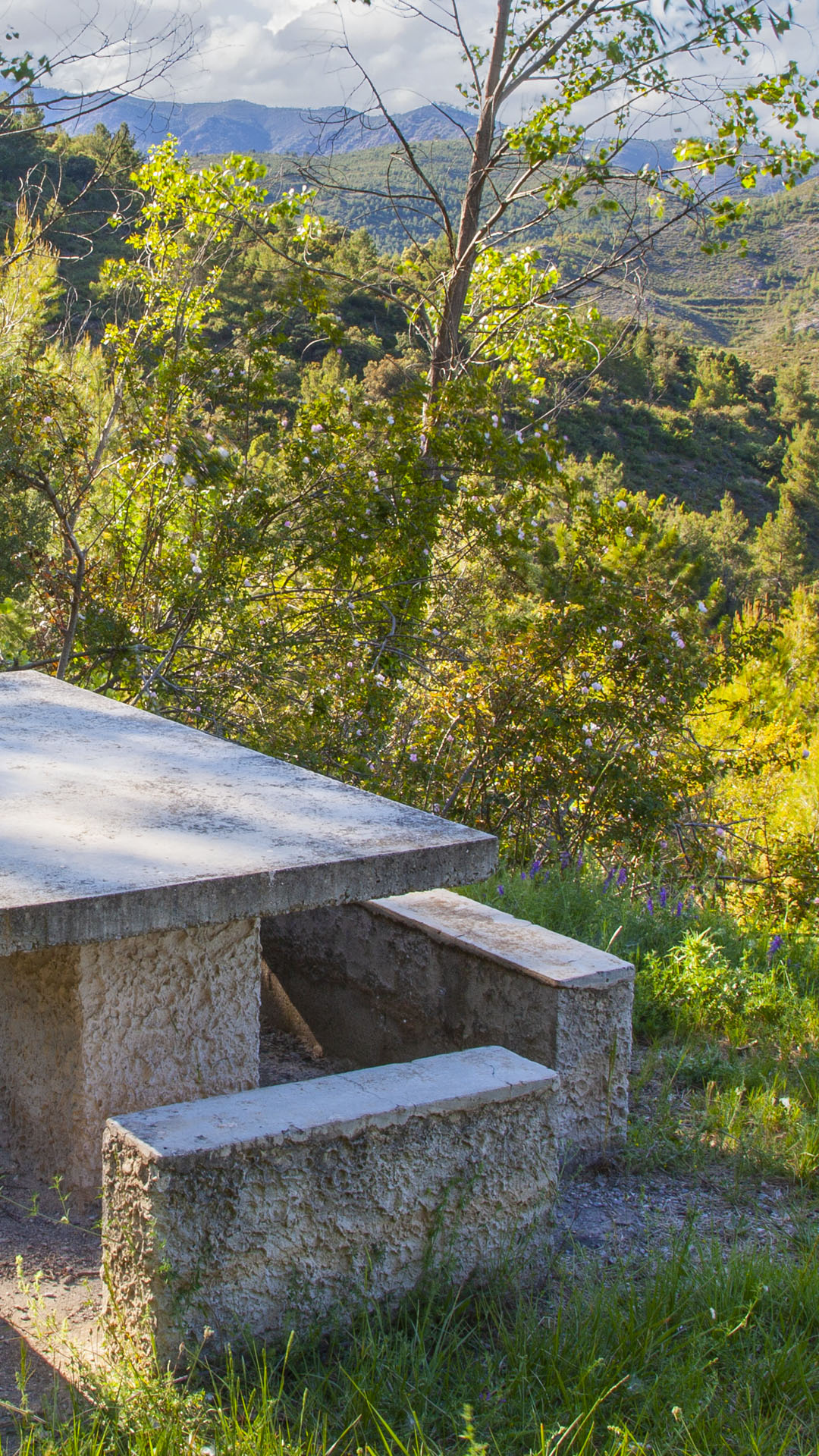 Fuente Cuenca