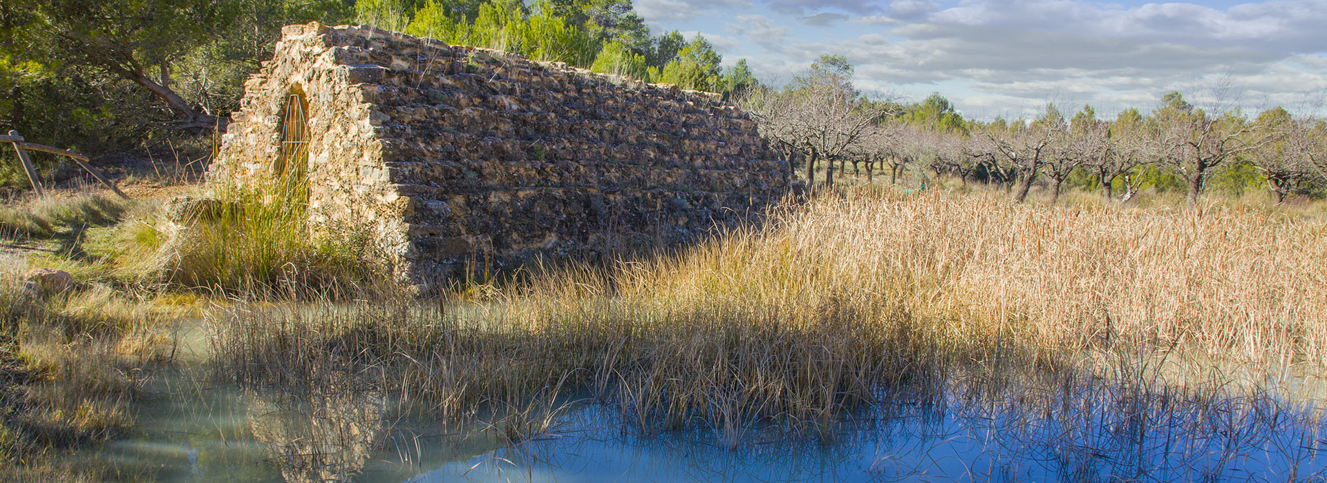 Reserva biológica Navajo Blanco