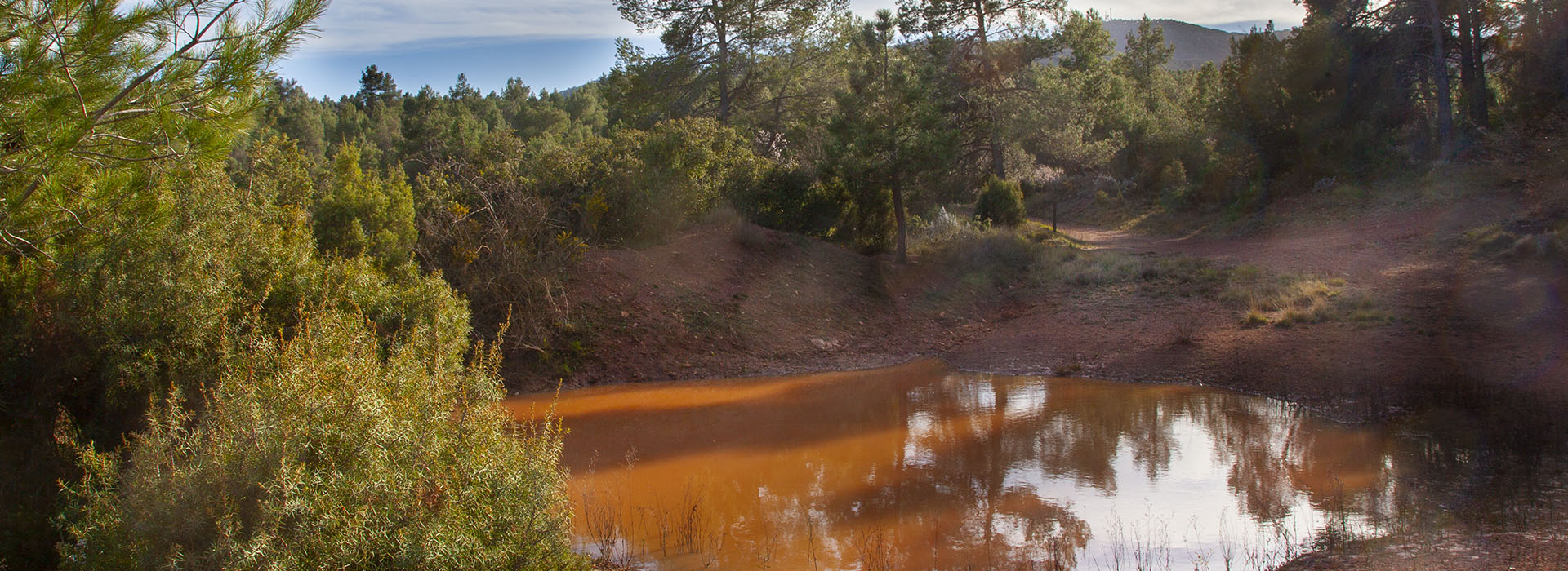 Reserva biológica Navajo Royo