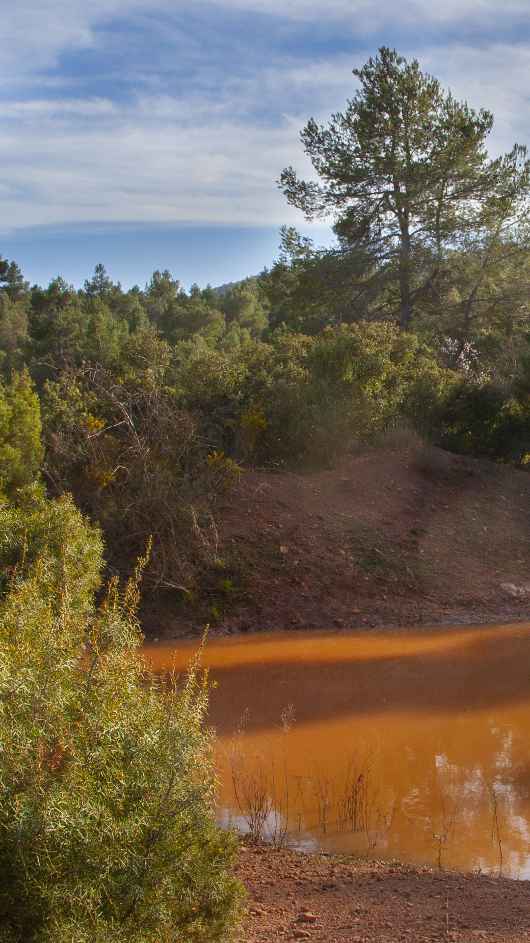 Reserva biológica Navajo Royo