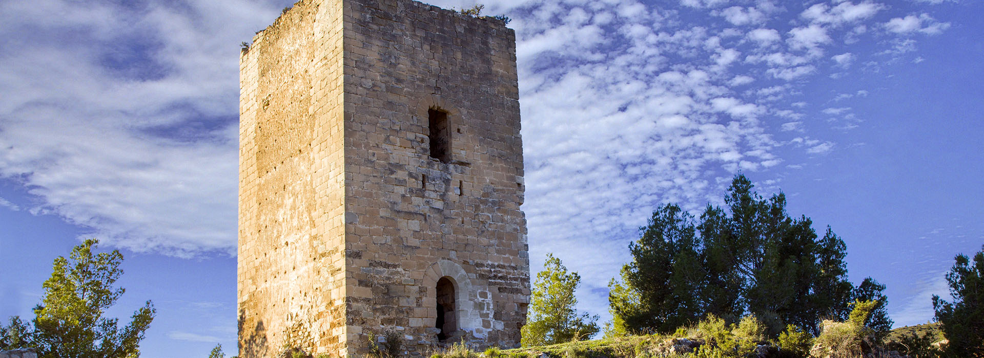 Torre del Homenaje (BIC)