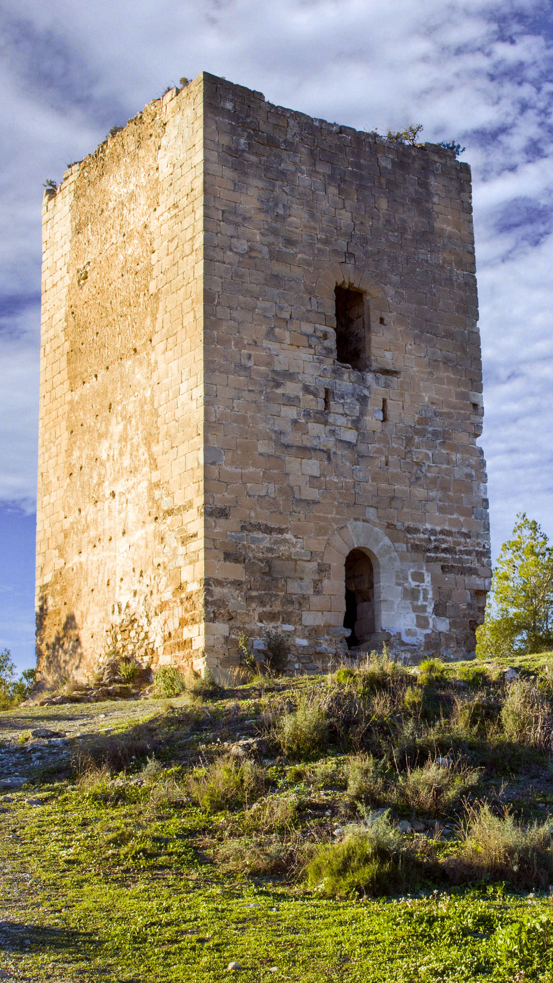 Torre del Homenaje (BIC)