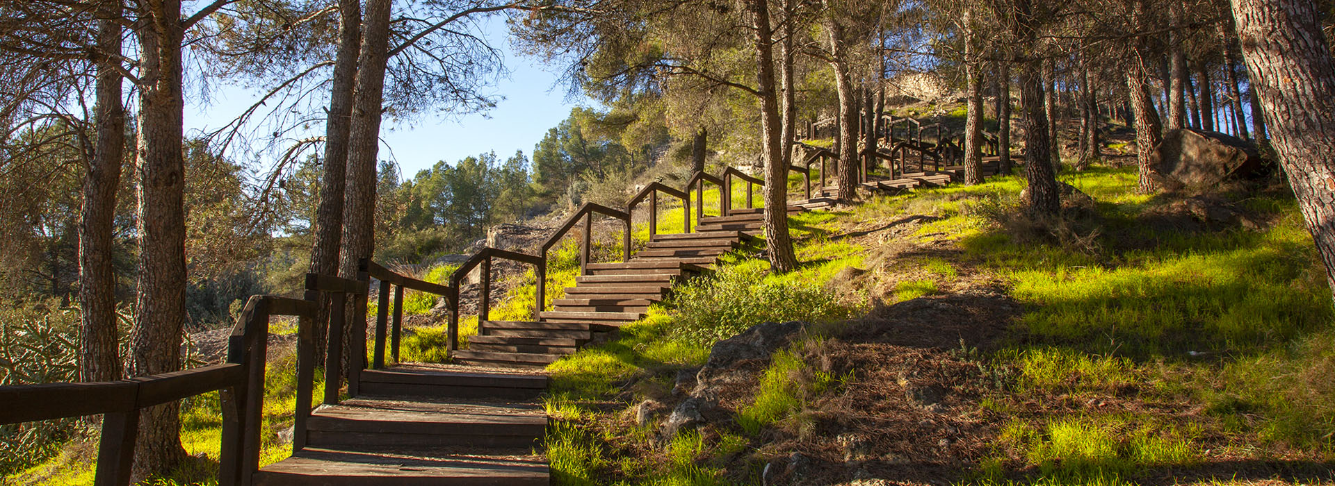 Restos del Castillo (BIC)