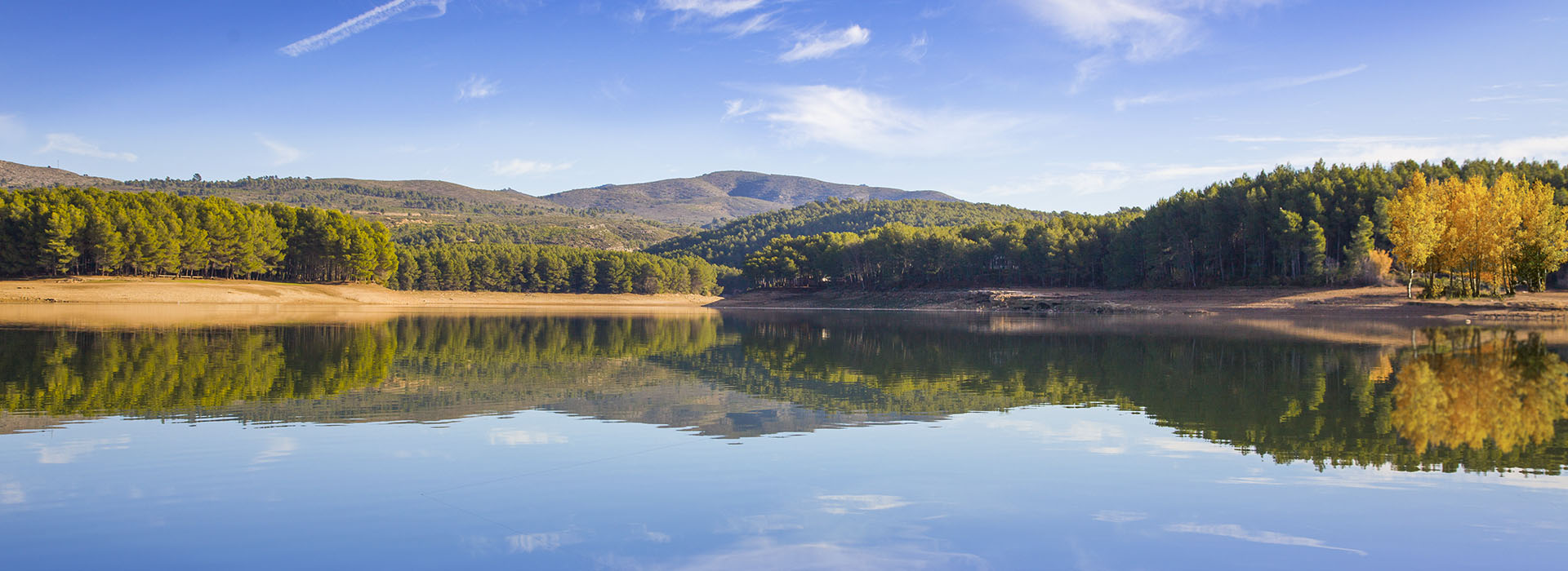 Pantano del Regajo