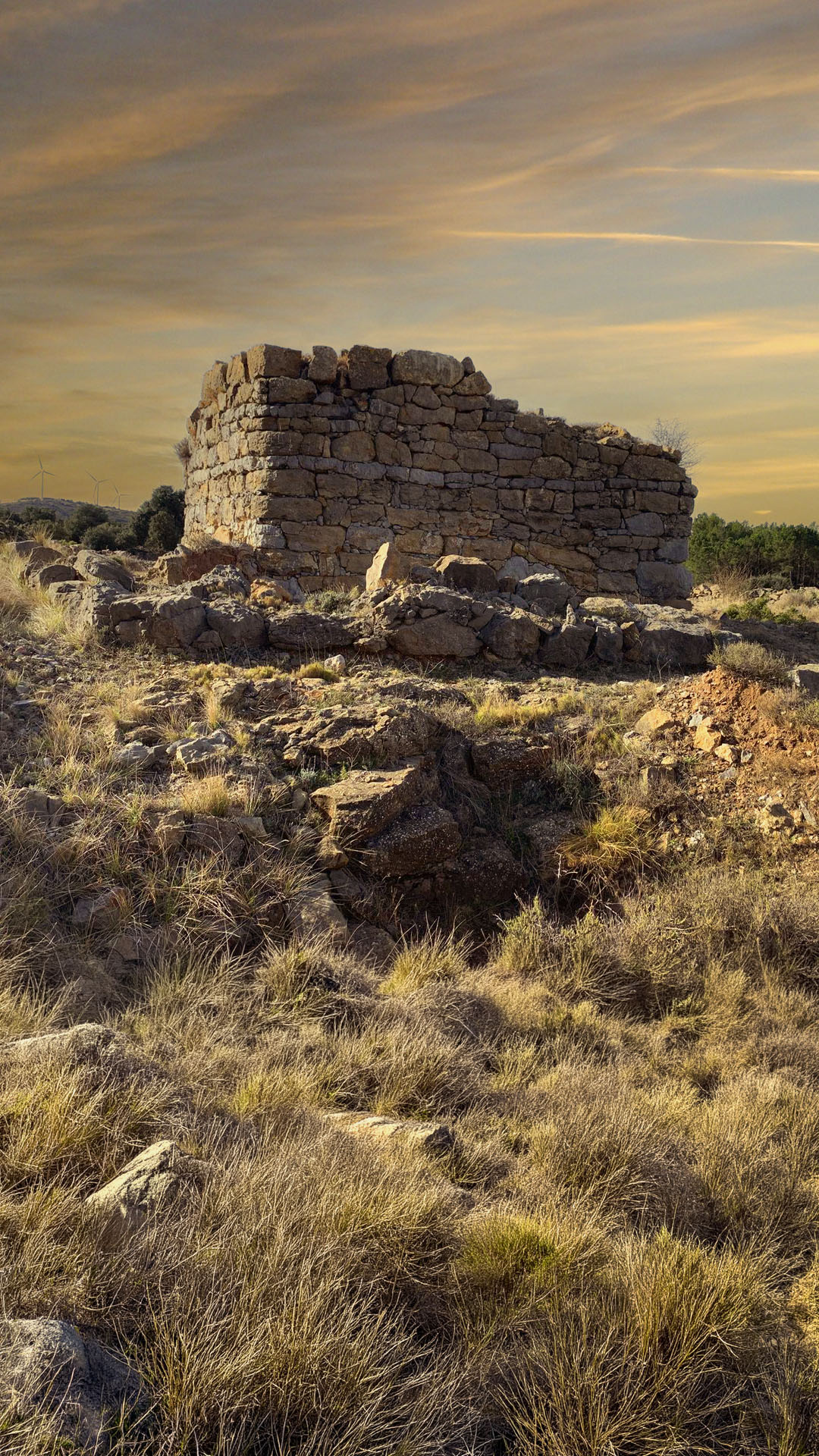 Torre del Prospinal