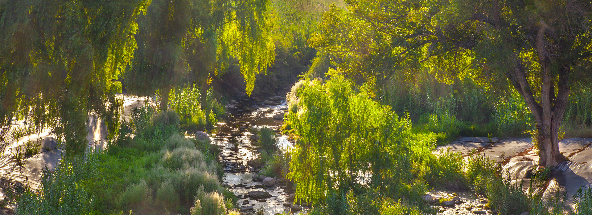 Río Palancia