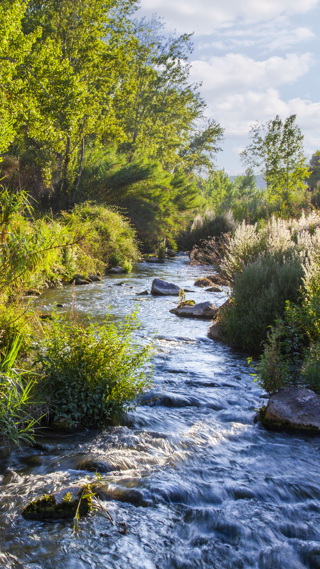 Río Palancia