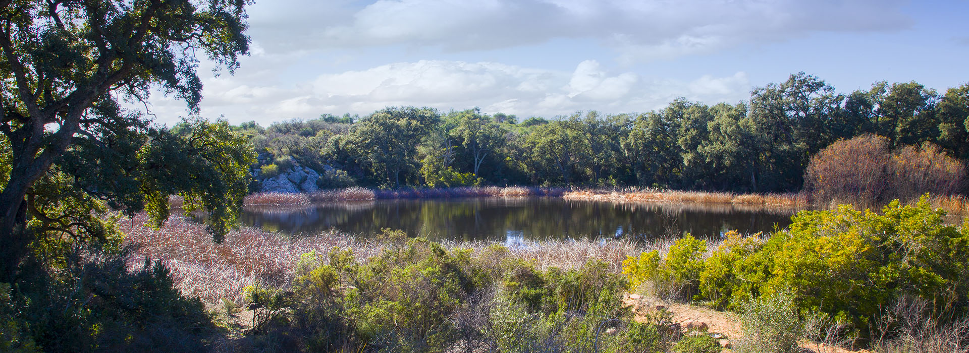 Paraje Natural Municipal La Dehesa