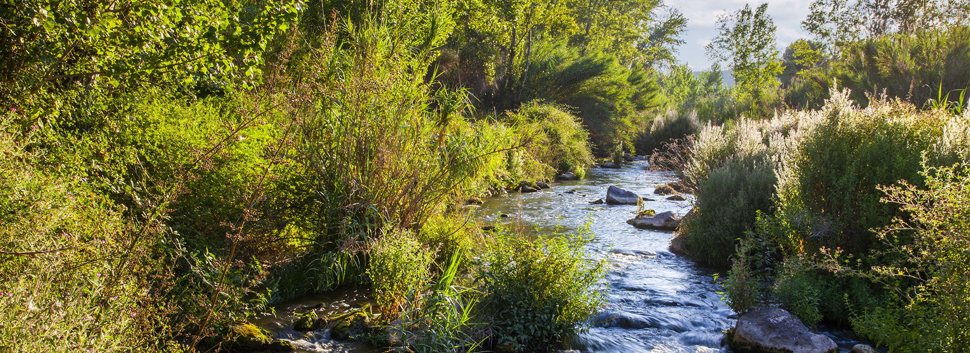 Ribera del río Palancia