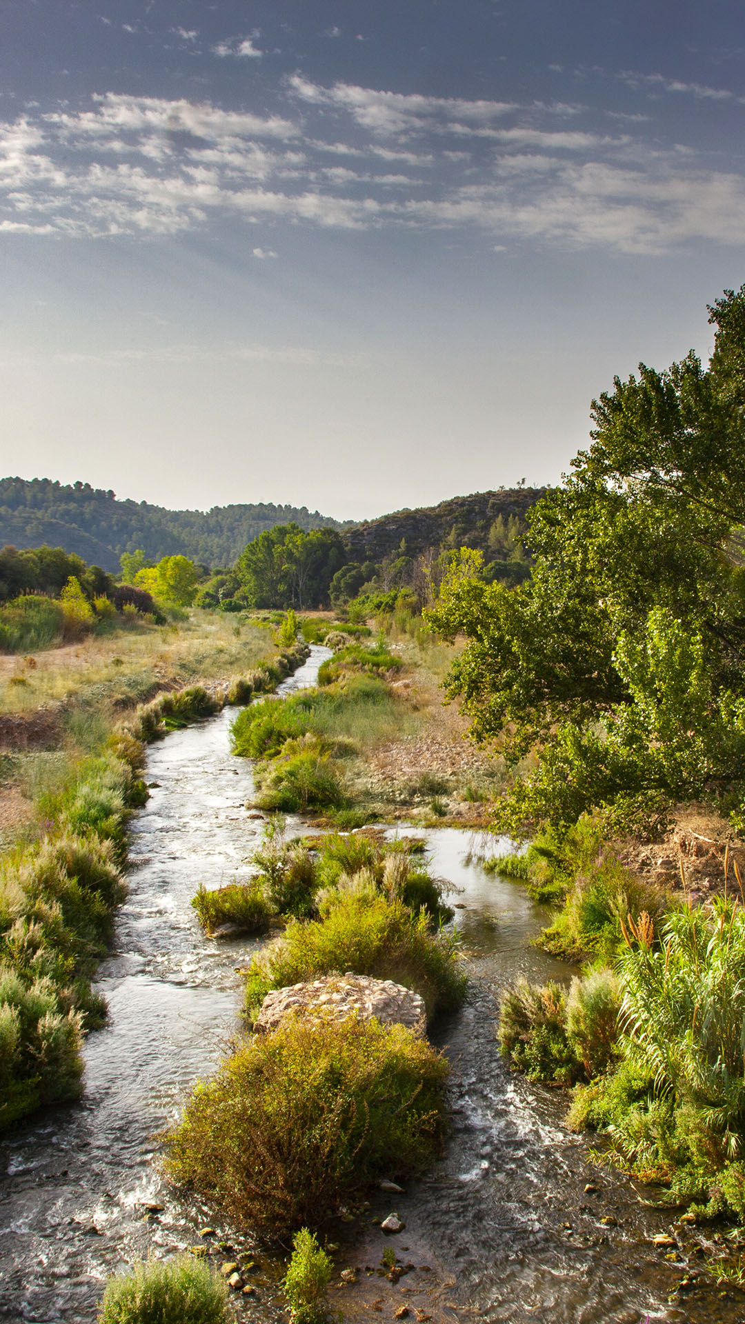 Ribera del río Palancia