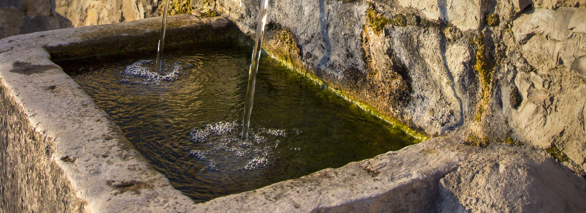 Fuente del Contis