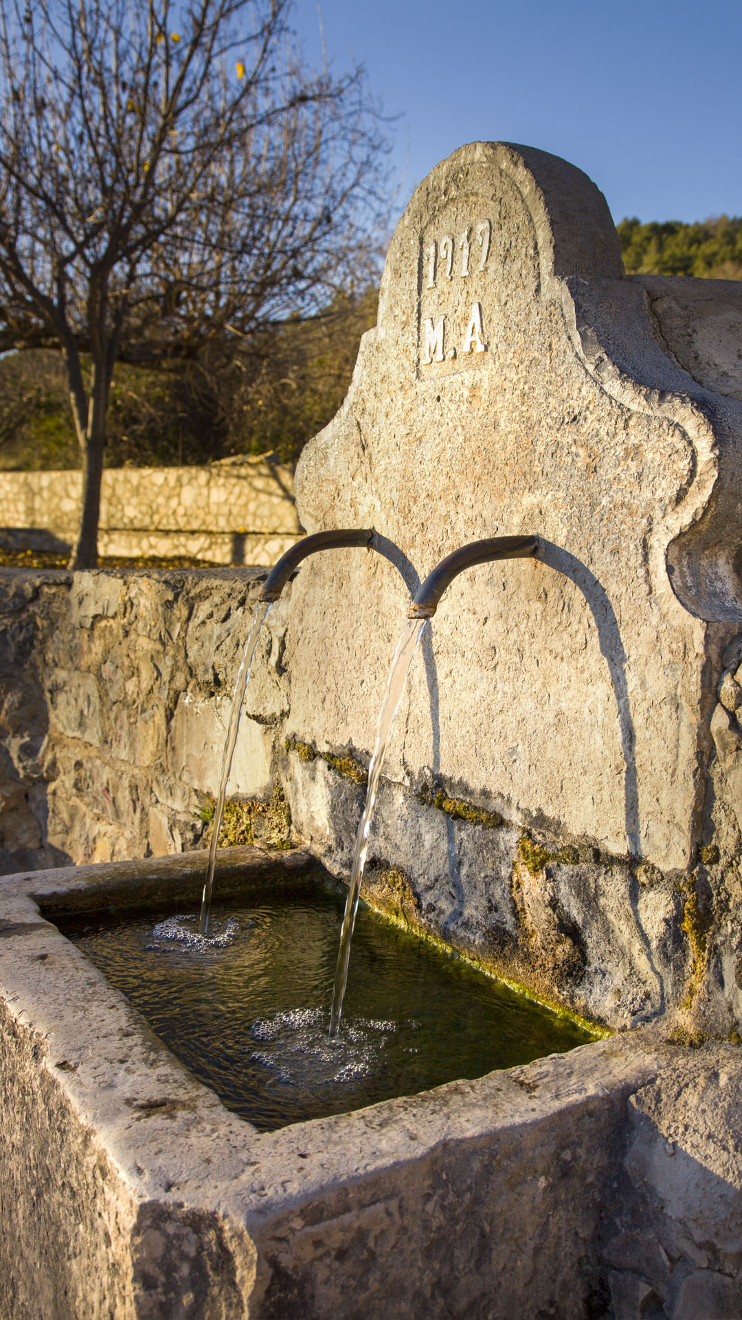 Fuente del Contis