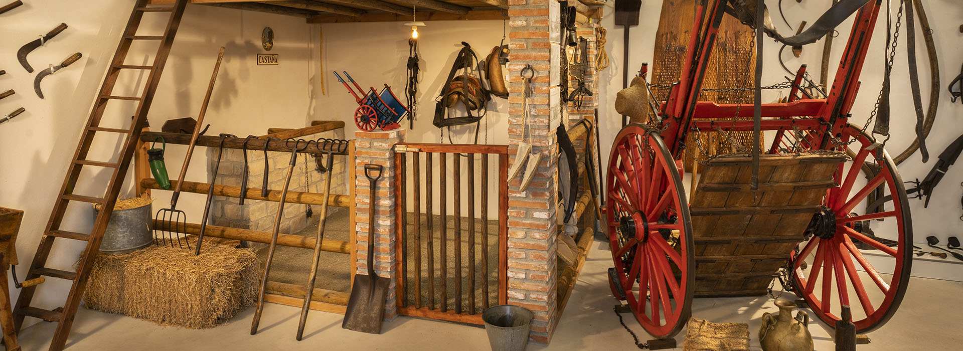 Museo Antonio Ponz