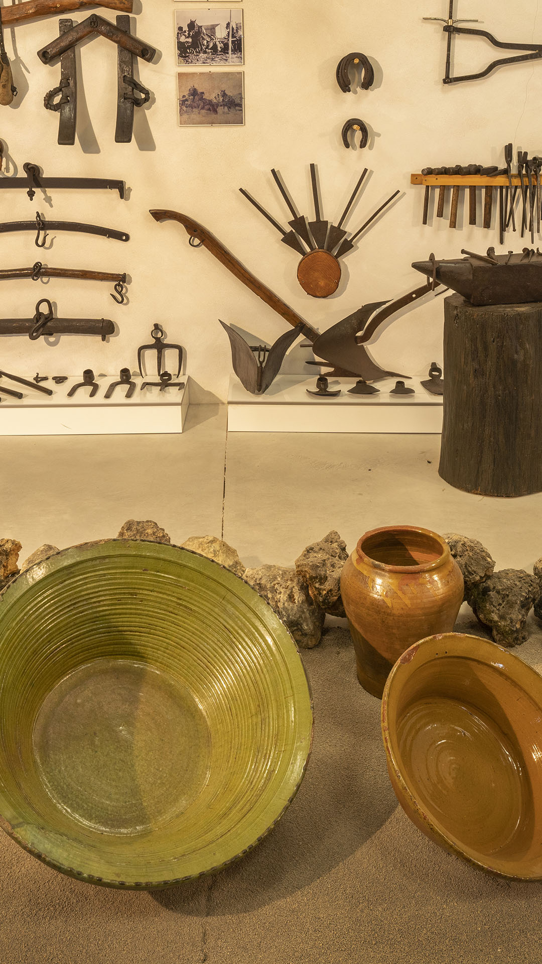 Museo Antonio Ponz