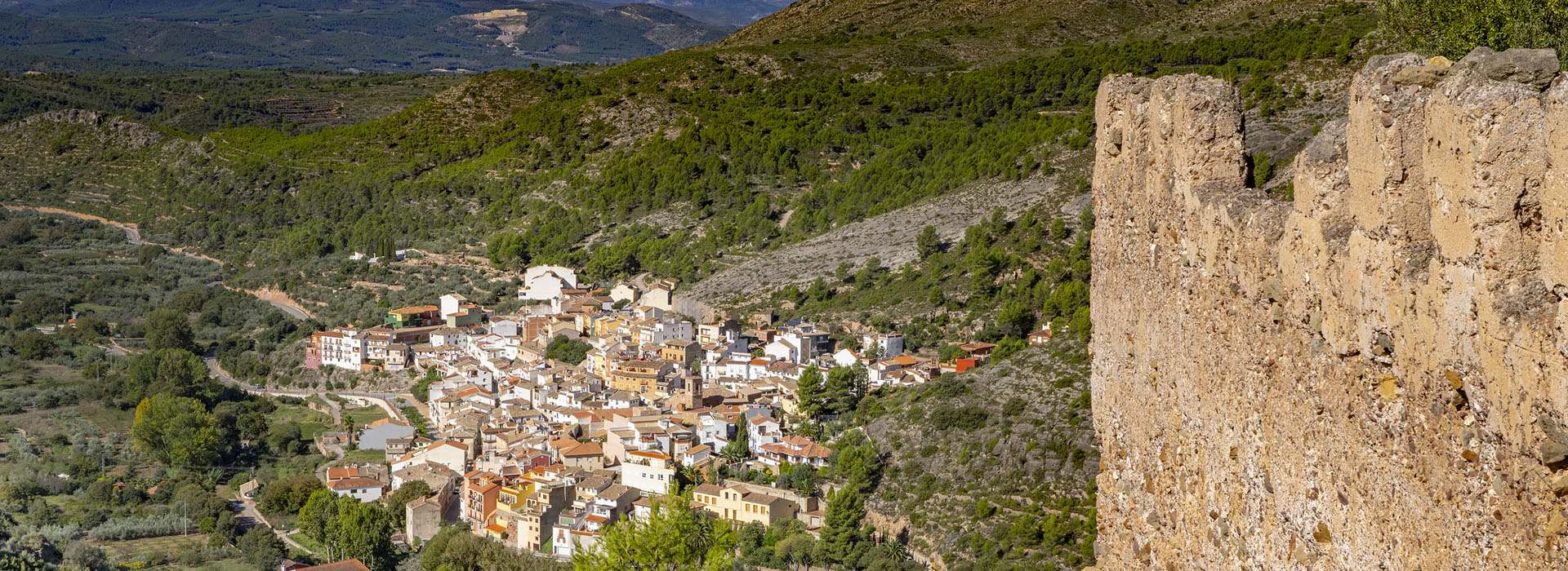 Castillo de Almonacid