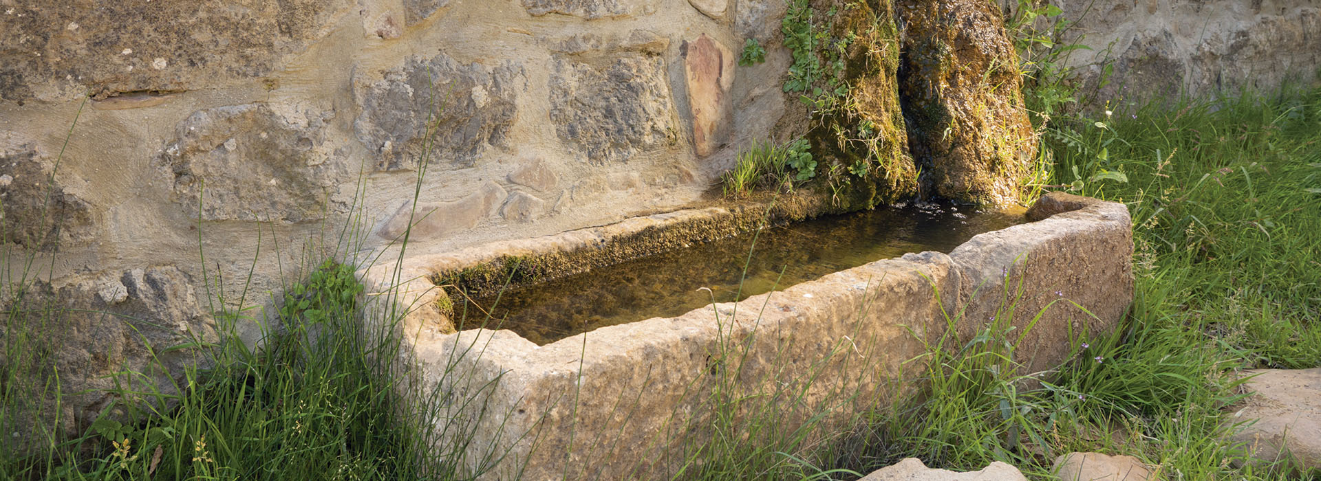 Fuente del Collado