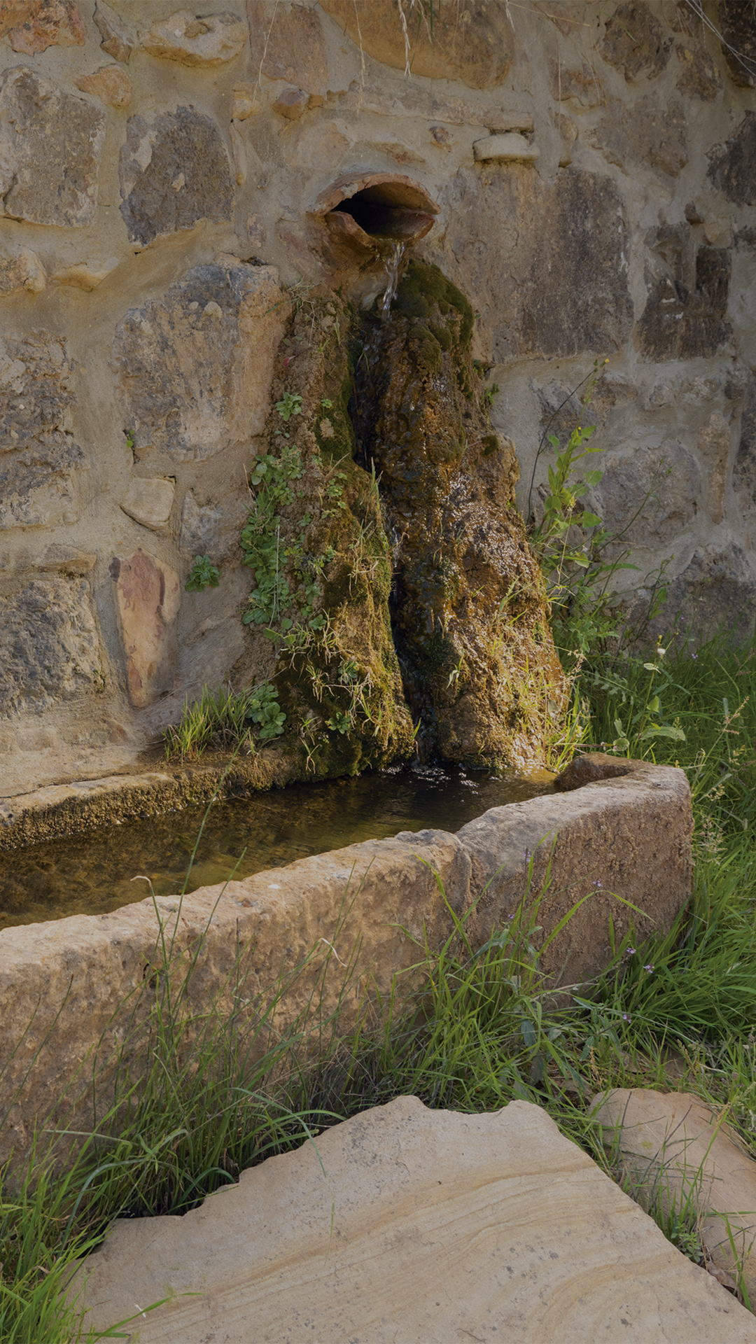 Fuente del Collado