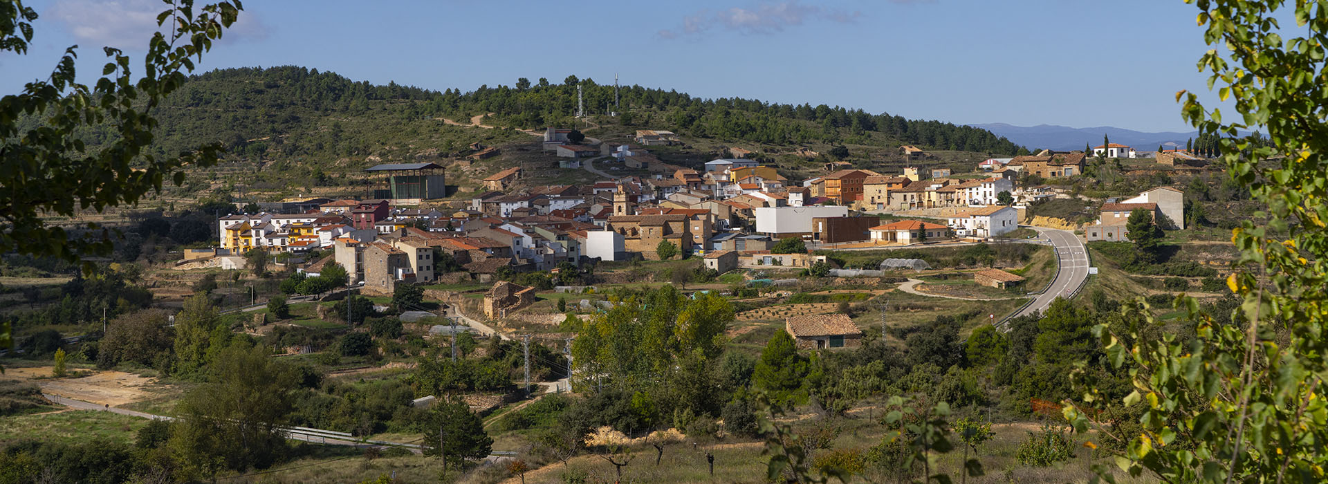 Caminos madereros