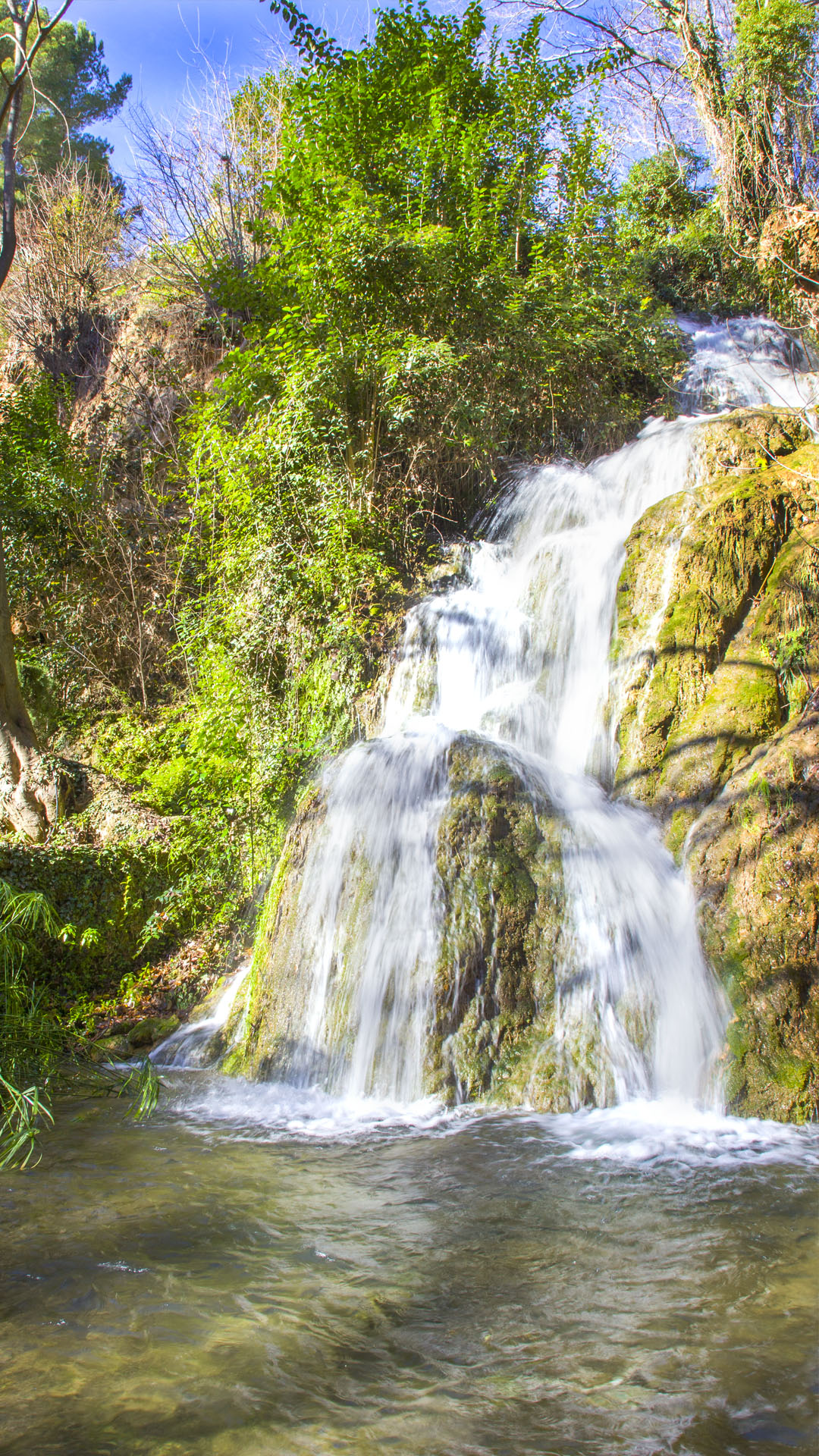 La Floresta