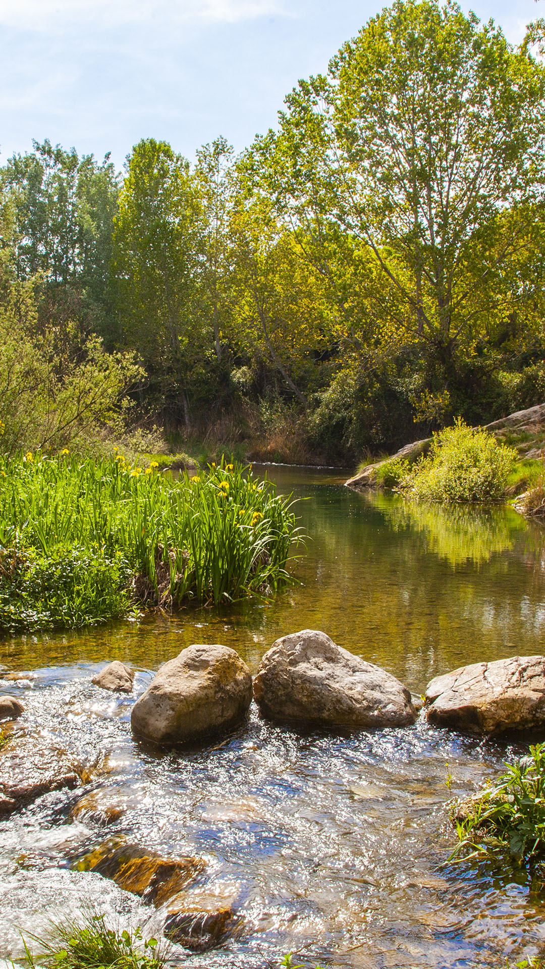 Paraje del Sargal