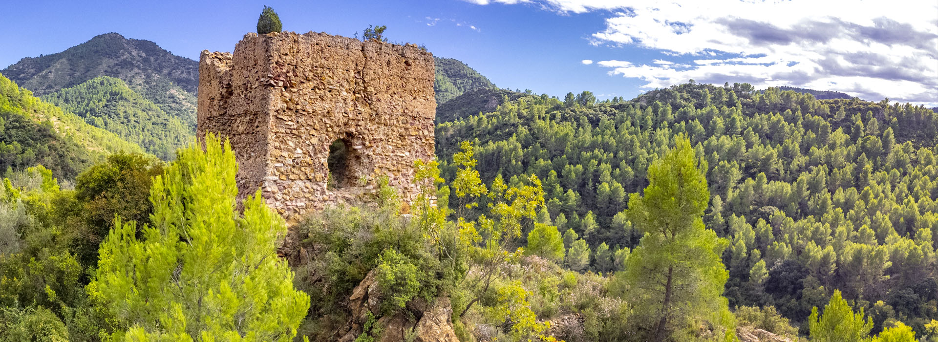 Torre de la Alfándiga