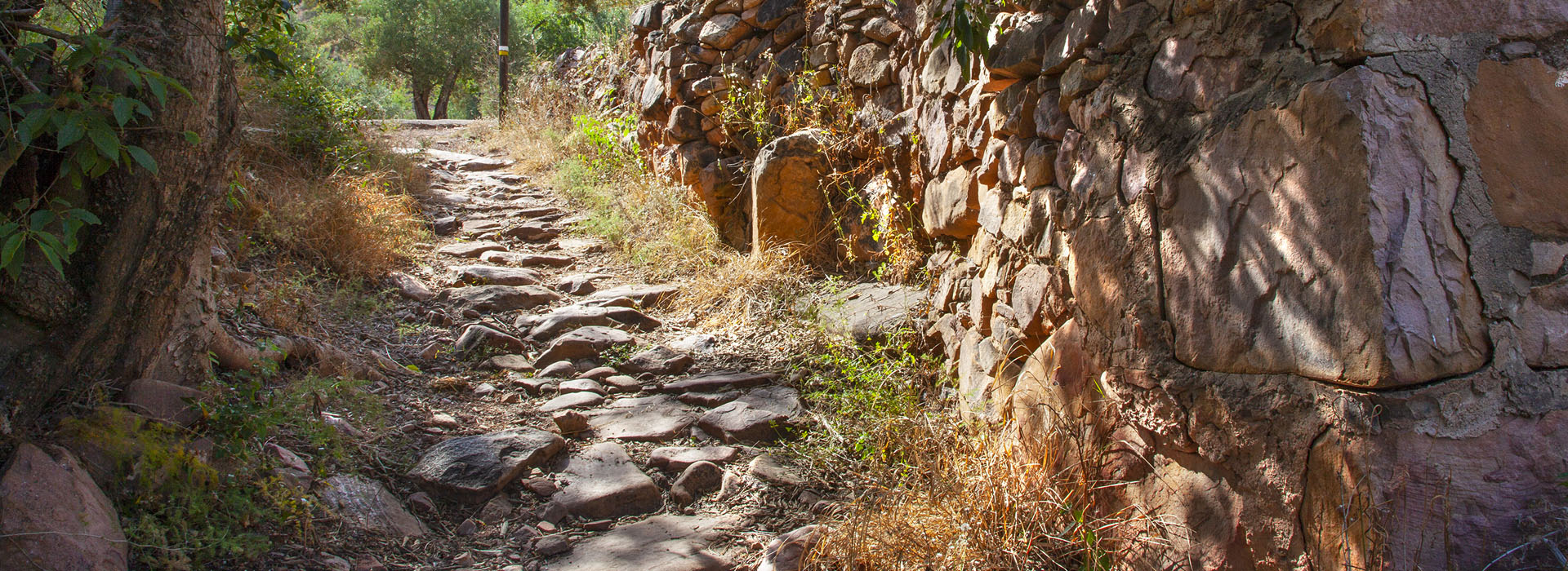 Ruta Almedíjar – Collado de la Íbola