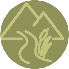 Botón 1